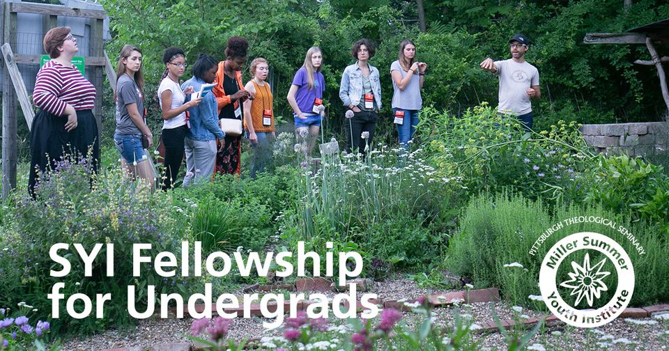 Summer Fellowship for Students