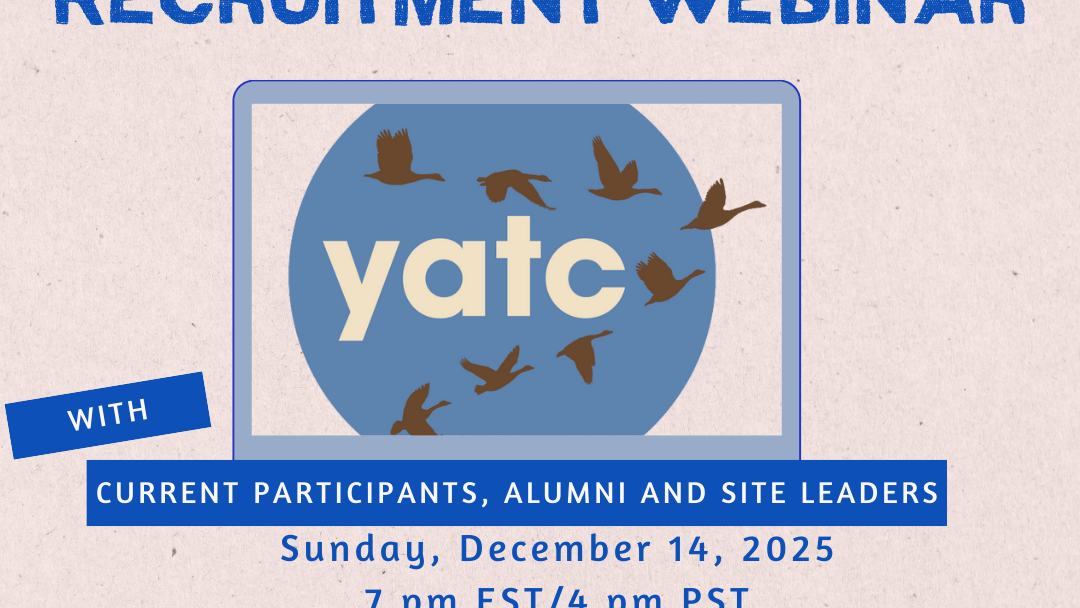 Young Adult Opportunity