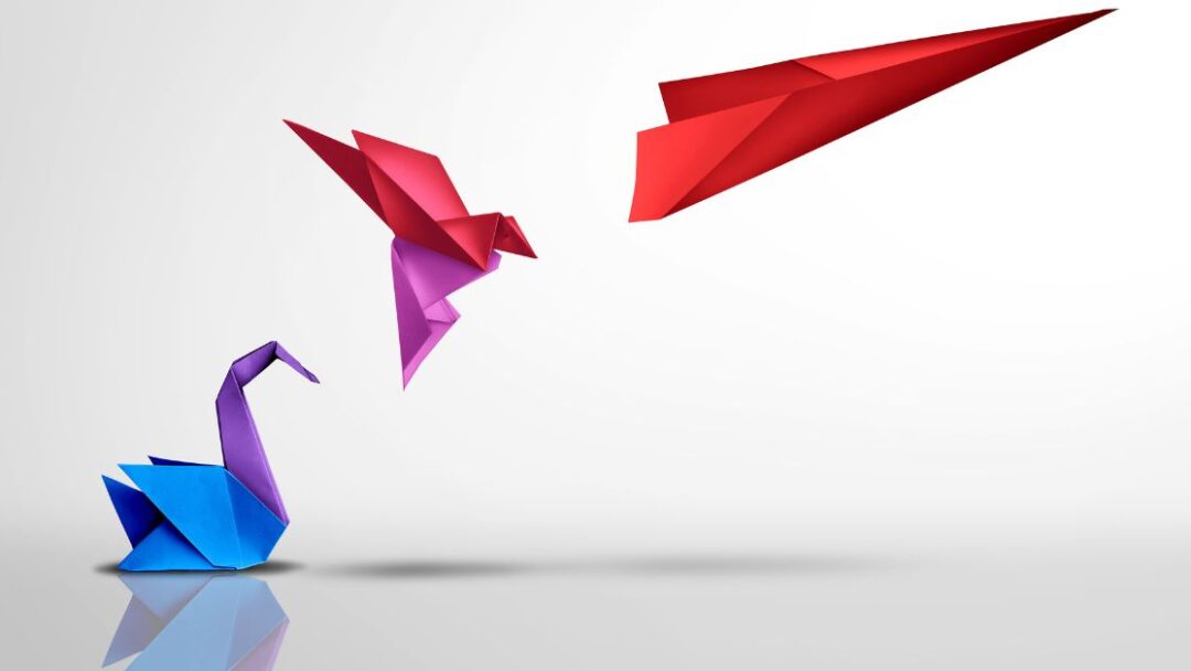 What’s Next After Graduation? Explore a Year of Purpose, Community & Growth